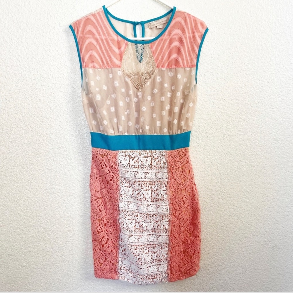 Anthropologie dress- Champagne & Strawberry - Picture 4 of 8